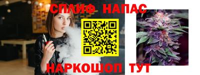 гидра Пенза