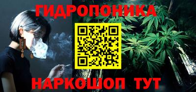 гидра Пенза
