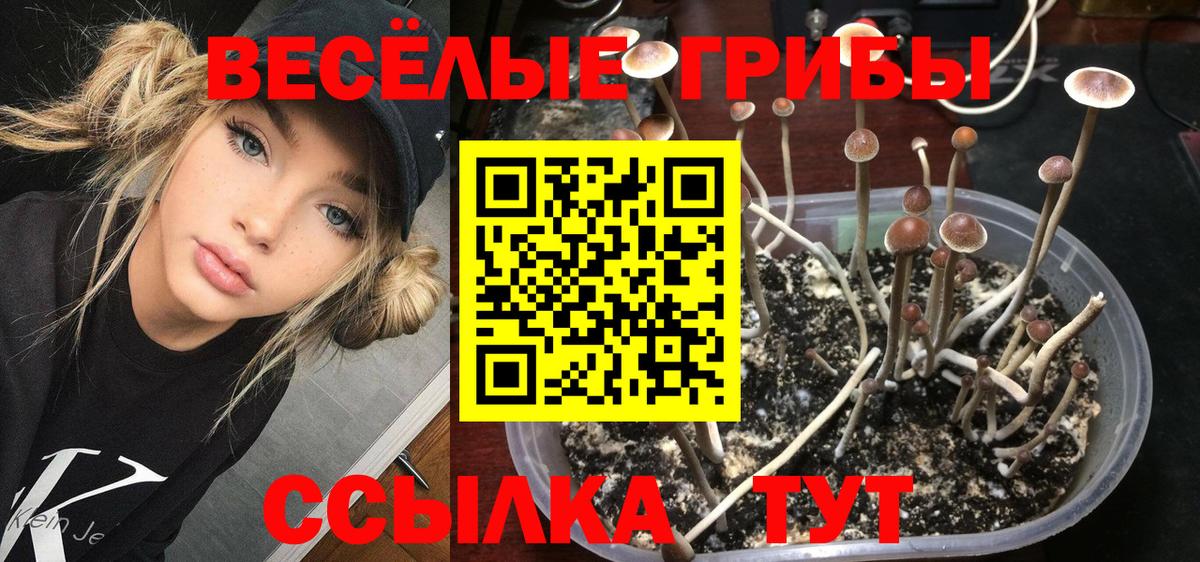 Галлюциногенные грибы MAGIC MUSHROOMS  цены   Тихвин  Вход с VPN 