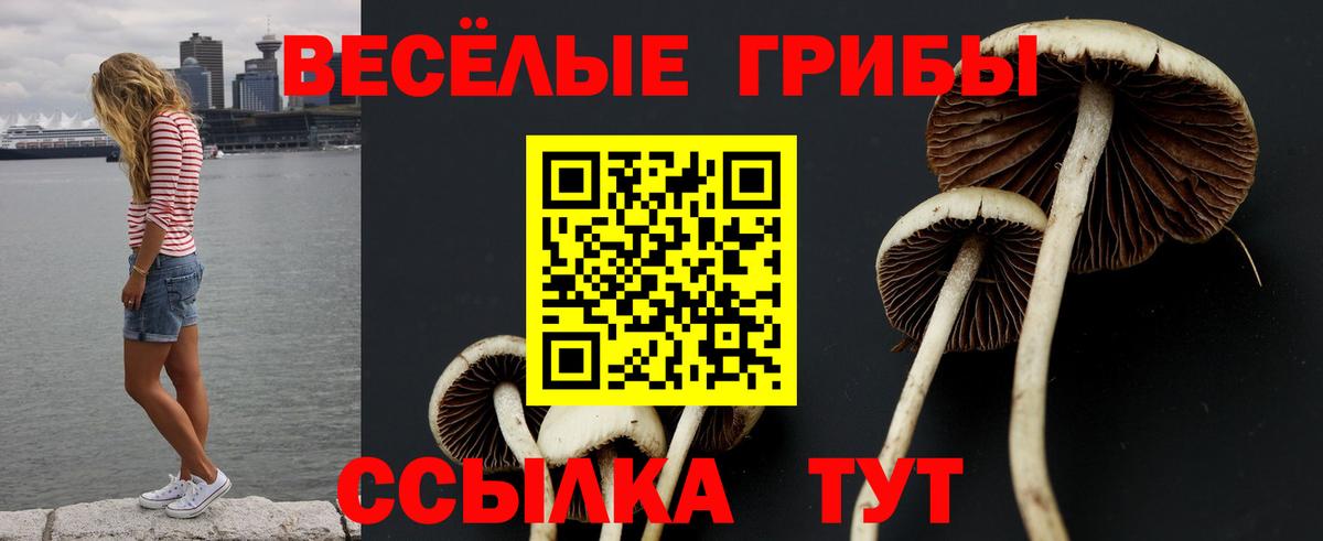 Галлюциногенные грибы мицелий Тихвин